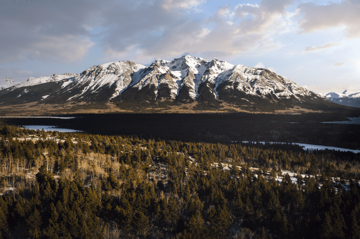 FLYING L RANCH OffGrid Horse Ranch in Nemiah Valley B.C.