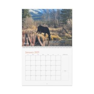 Squeegee & Co 2025 Calendar