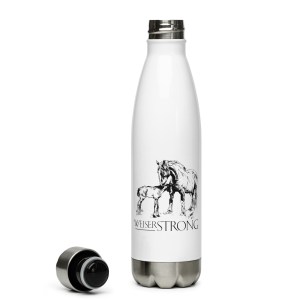 Weiser Strong Stainless Steel Water Bottle