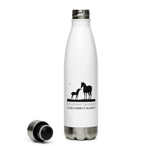 Everyone Deserves A Second Chance Stainless Steel Water Bottle